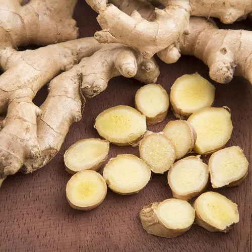 Jengibre