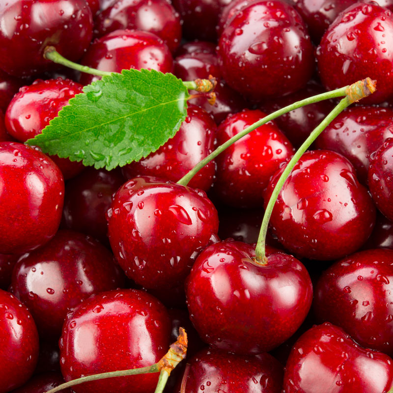 Cerise